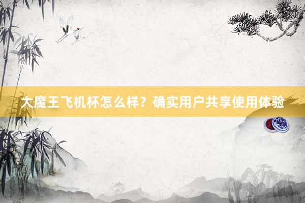 大魔王飞机杯怎么样？确实用户共享使用体验
