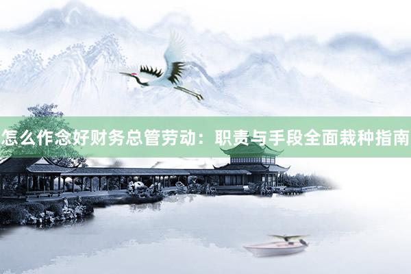 怎么作念好财务总管劳动：职责与手段全面栽种指南